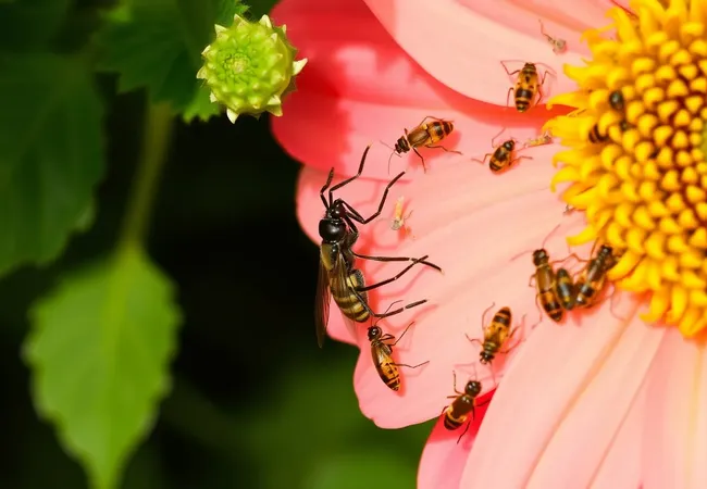 Aliados naturales para tu huerto Aliados naturales para tu huerto