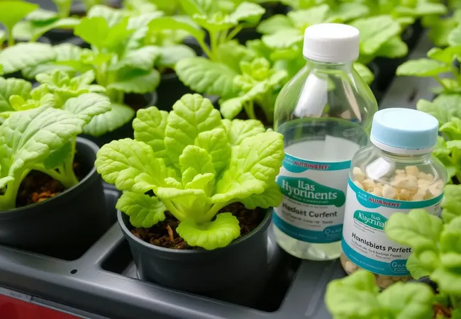 Consejos expertos para hidropónicos Consejos expertos para hidropónicos