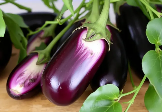 Consejos expertos para cultivar berenjenas en casa Consejos expertos para cultivar berenjenas en casa