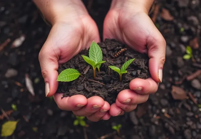 Consejos ecológicos para un mundo más verde Consejos ecológicos para un mundo más verde