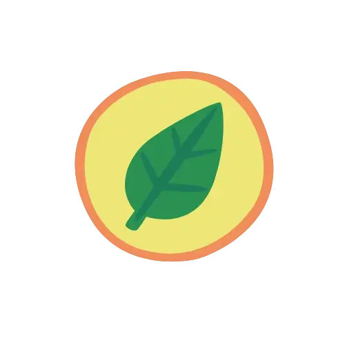 Una hoja verde con fondo amarillo | huerto casero